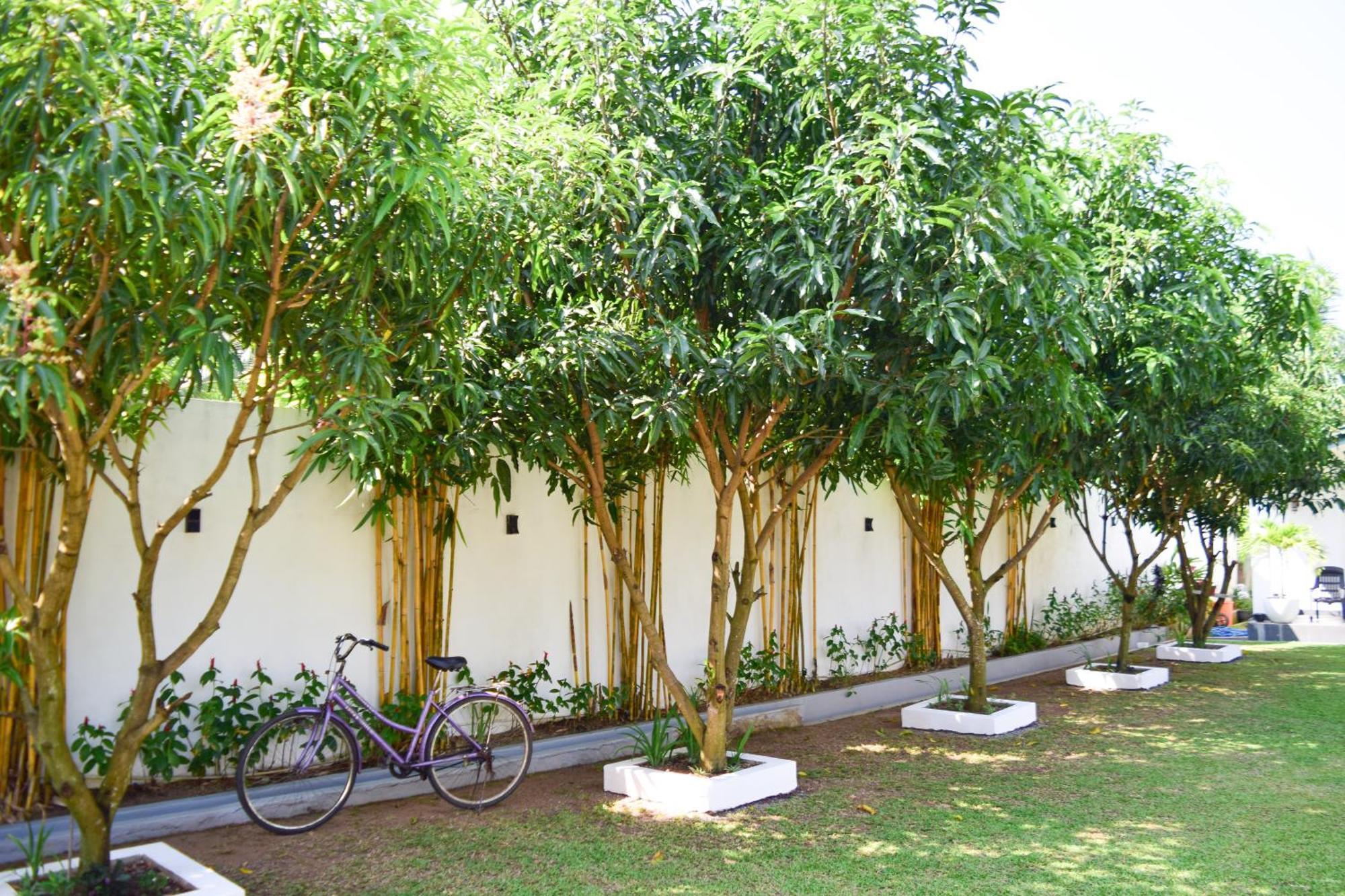 The Bamboo Tree Transit Hotel 카투나야크 외부 사진